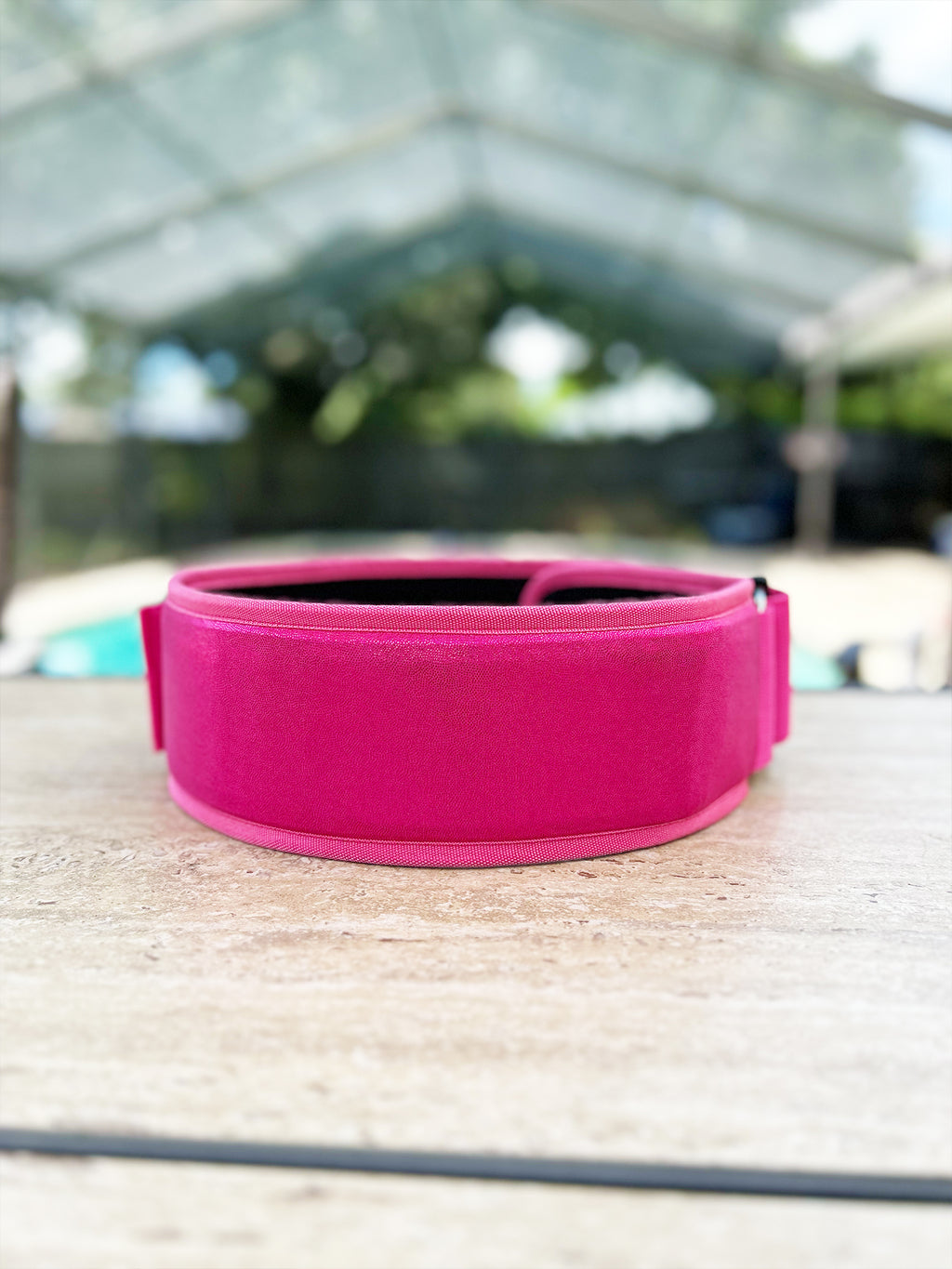 Pink Everything Lifting Belt Lifting the Dream